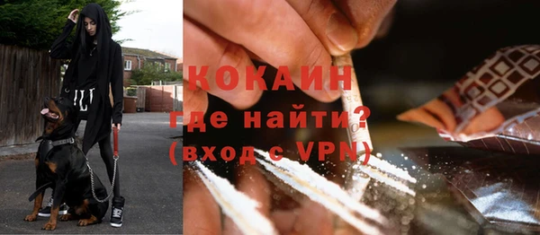 дмт Богородицк