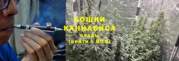 дмт Богородицк