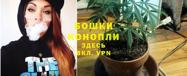 дмт Богородицк