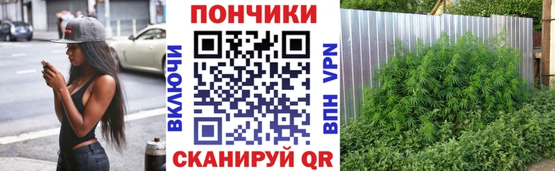 Марихуана сатива Вуктыл